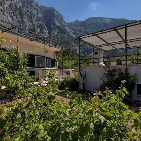 Baskovic In Nature Park