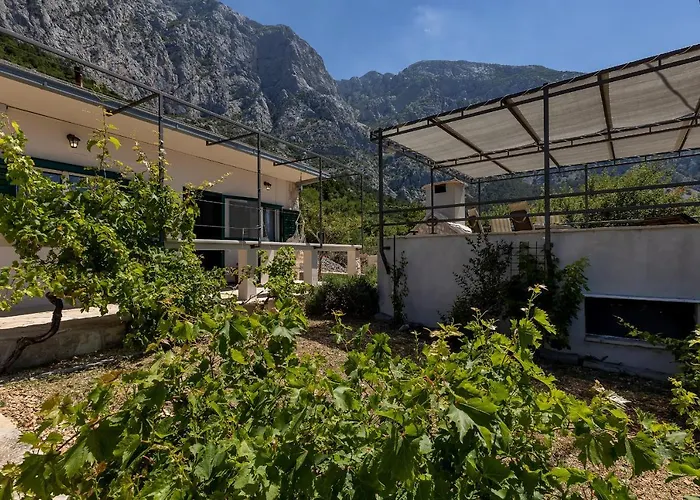 Baskovic In Nature Park